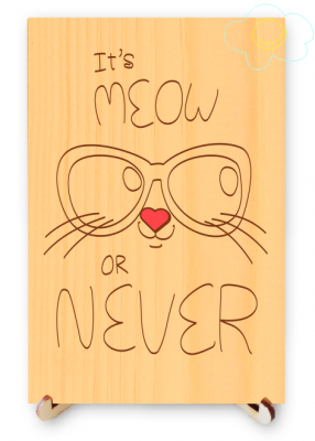 It Is Meow or Never Cute Real Wood Postcard